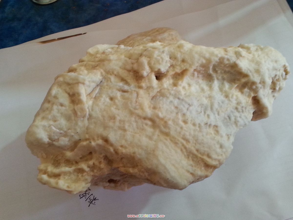 20130728_135712.jpg