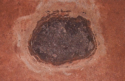 Osterplana1.jpg