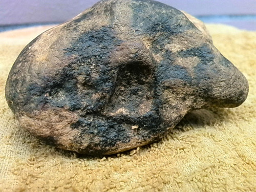 IMG_20130801_104549.jpg