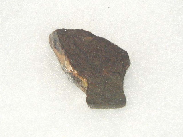 dag202_bernhard_rems.jpg