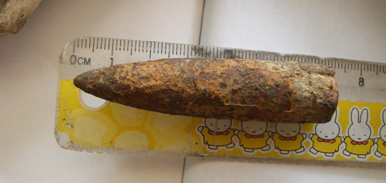 CIMG8136.jpg