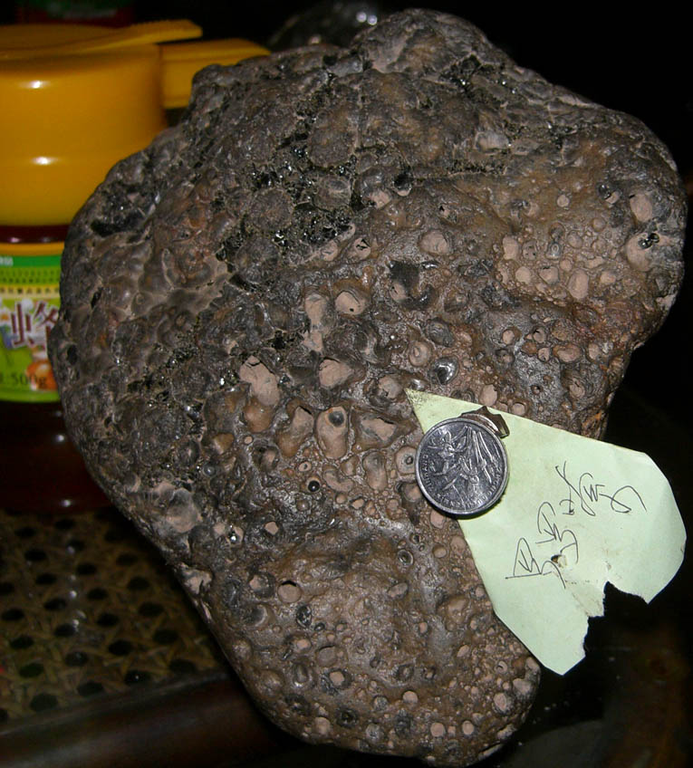 CIMG8446.jpg