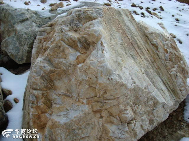 Fig8_26p_1.jpg