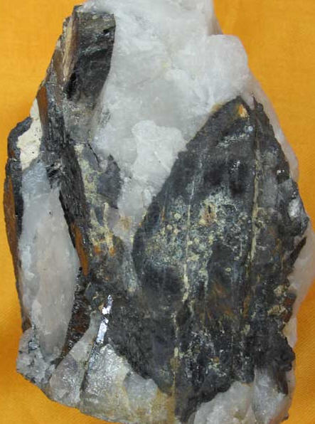 Fig8_28p.jpg