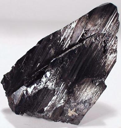 Fig8_28p_1.jpg