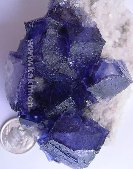 Fig8_31_1.jpg