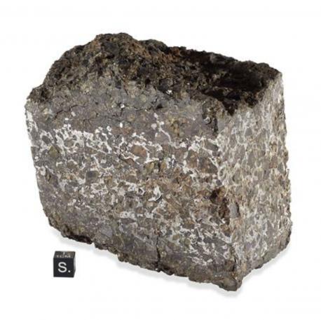 2.9公斤汉布尔顿陨石块.jpg