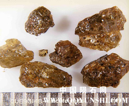 QUE93148a.jpg