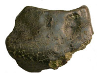 TassaMahchi MMweb1.jpg