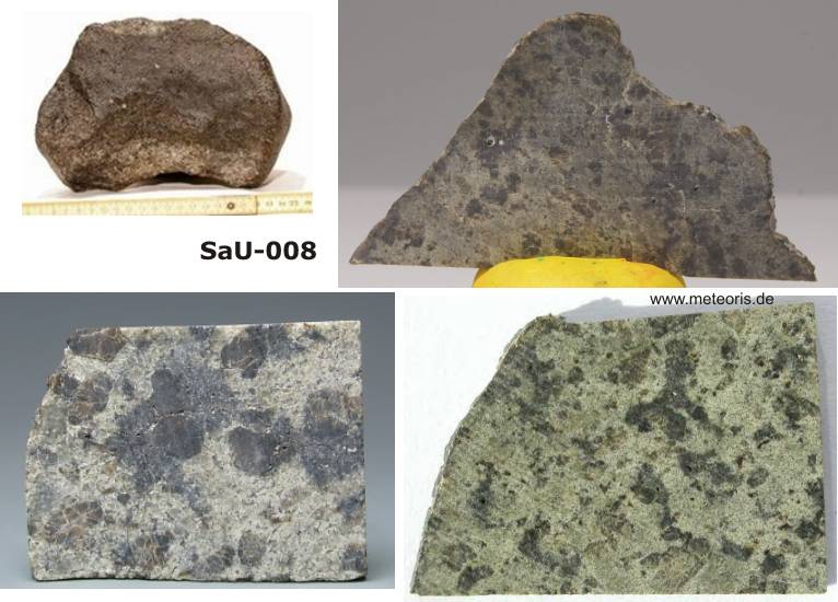 SAU-008.jpg