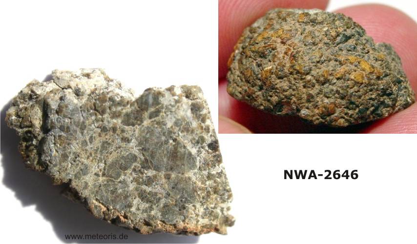 NWA-2646.jpg