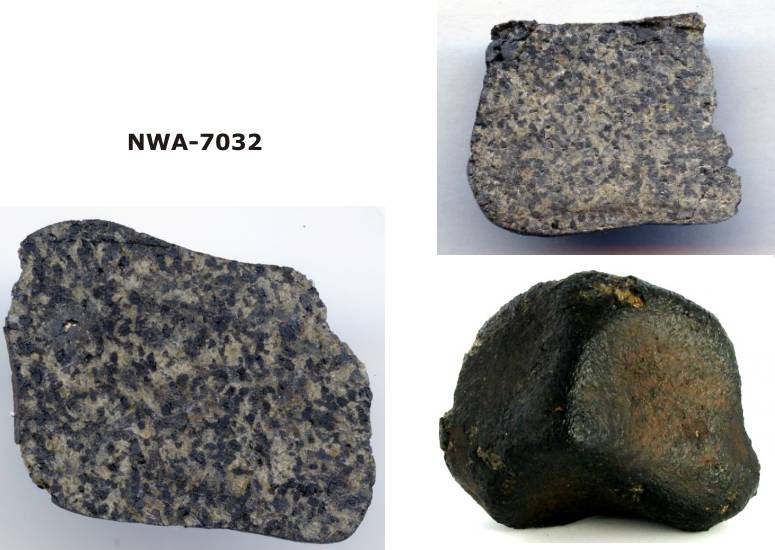 NWA-7032.jpg