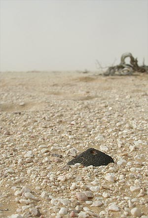 Meteoritensuche_39_300.jpg