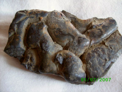 concretion_Jack_CT_0209.jpg