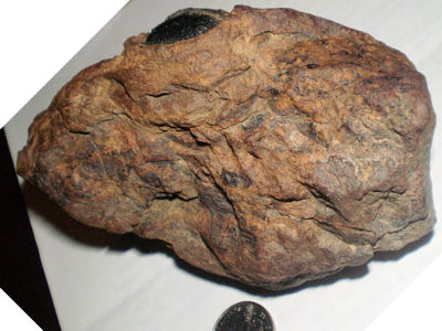 concretion_SC1.jpg