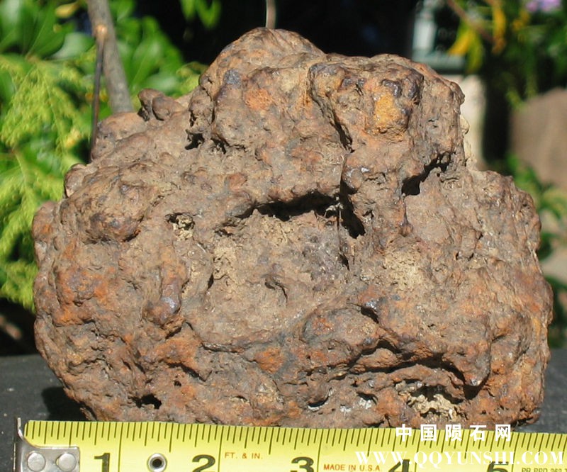 concretion_bob_DE.jpg