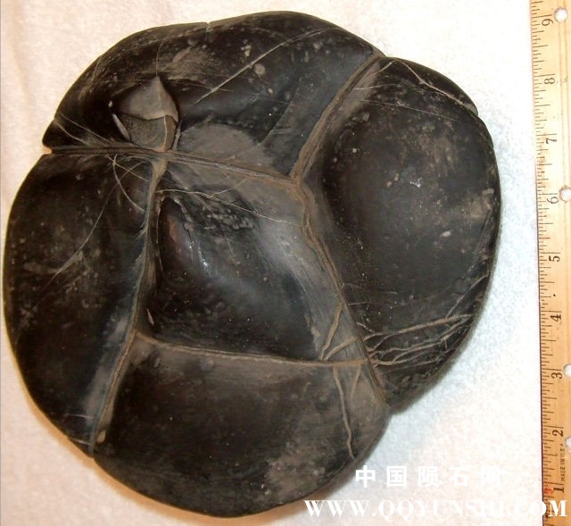 concretion_WV_217.jpg