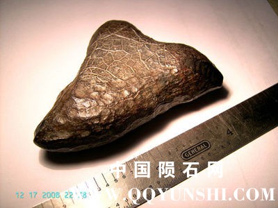 concretion_barry.jpg