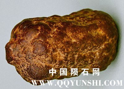 concretion_georgia03.jpg
