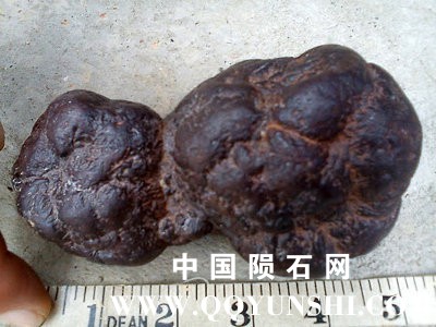 concretion_Paul2.jpg