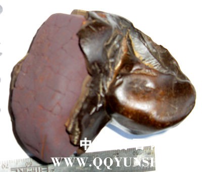 concretion_dogsgrey1.jpg