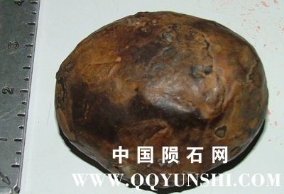 concretion_donna.jpg