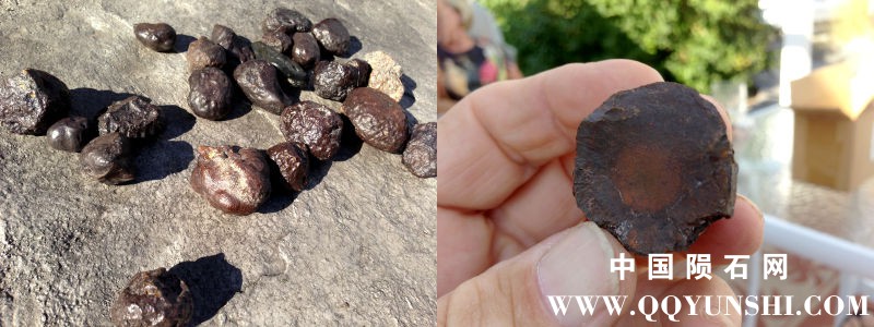 concretion_greg.jpg