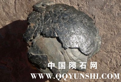 concretion_john_paul.jpg