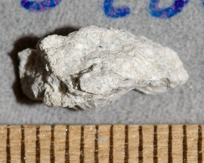 imb_60035,58_2046_m.jpg