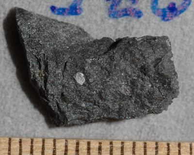 imb_77075,156_2053_m.jpg