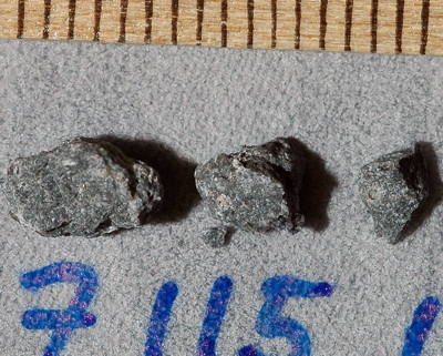 imb_77115,116_2018_m.jpg