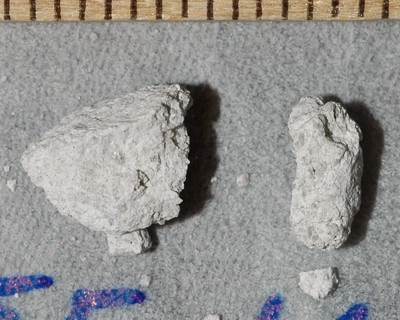 gb_78155,164_2022_m.jpg