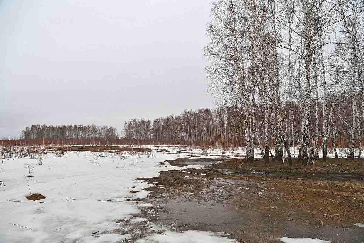 Streufeld des Chelyabinsk Meteoriten 1200.jpg