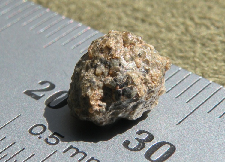 DSCN9287.jpg