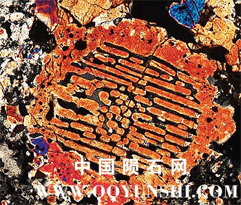 Barred_Chondrule_Mt._Tazerzait.jpg
