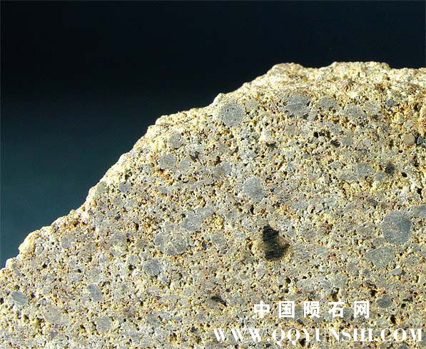 Chondrules and porosity_Mt._tazerzait.jpg