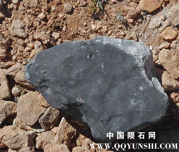 meteorite find in situ image.jpg