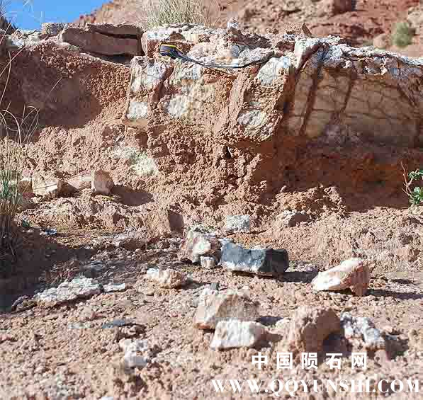 Meteorit Steinmeteorit Tamdaght Einschlag.jpg