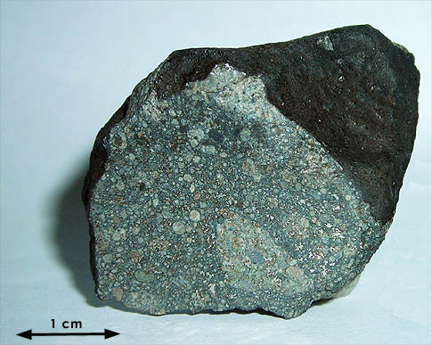 Chergach breccia.jpg