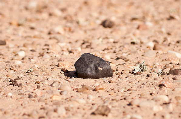 Meteorit_detailaufnahme_597.jpg