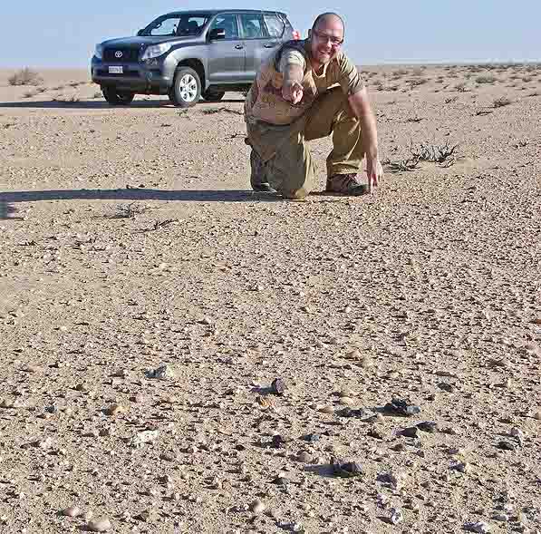 Meteorite_desert_Sahara_D_597.jpg