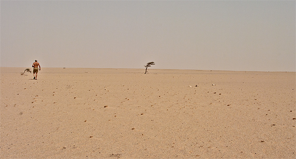 Erg_Sakia_al_Hamra.jpg