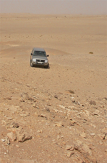 Meteoritensuche_Saquia_al_Hamra_1.jpg