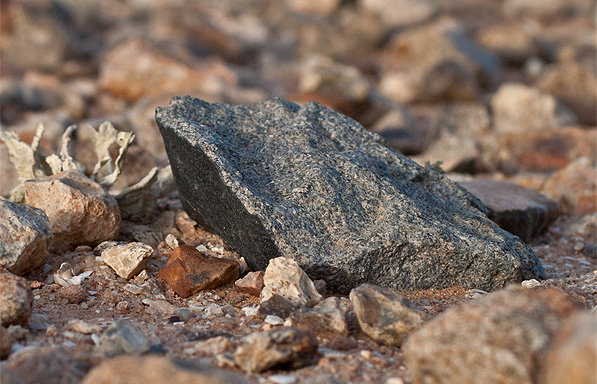 Meteorite_eucrite_achondrite_Westsahara_008.jpg