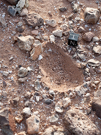 Meteorite_eucrite_achondrite_Westsahara_021.jpg