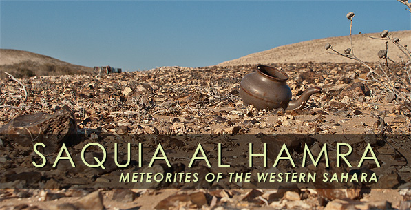 Meteorites_Western_Sahara_77.jpg