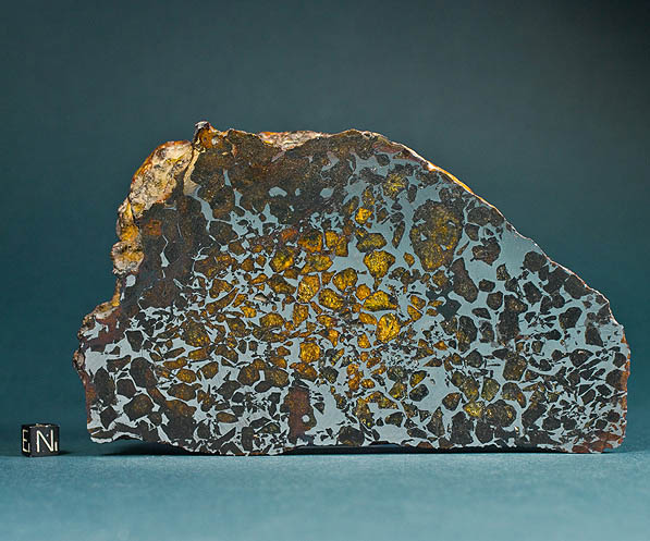 Seymchan pallasite meteorite.jpg