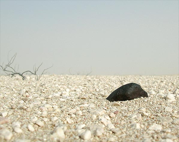 Chondrite Meteorite in situ.jpg