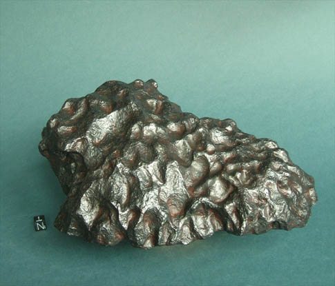 oriented Campo meteorite 485 1.jpg