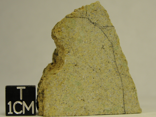 ALG-0001_-_02.14991657_large.jpg